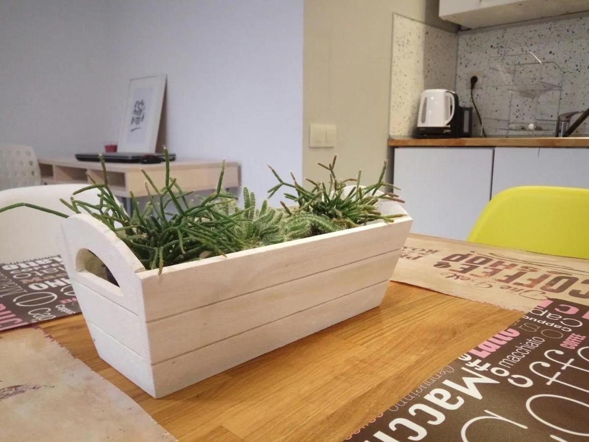 Quiet & Airy Modern Apt. Centre Free Parking Appartement Sofia